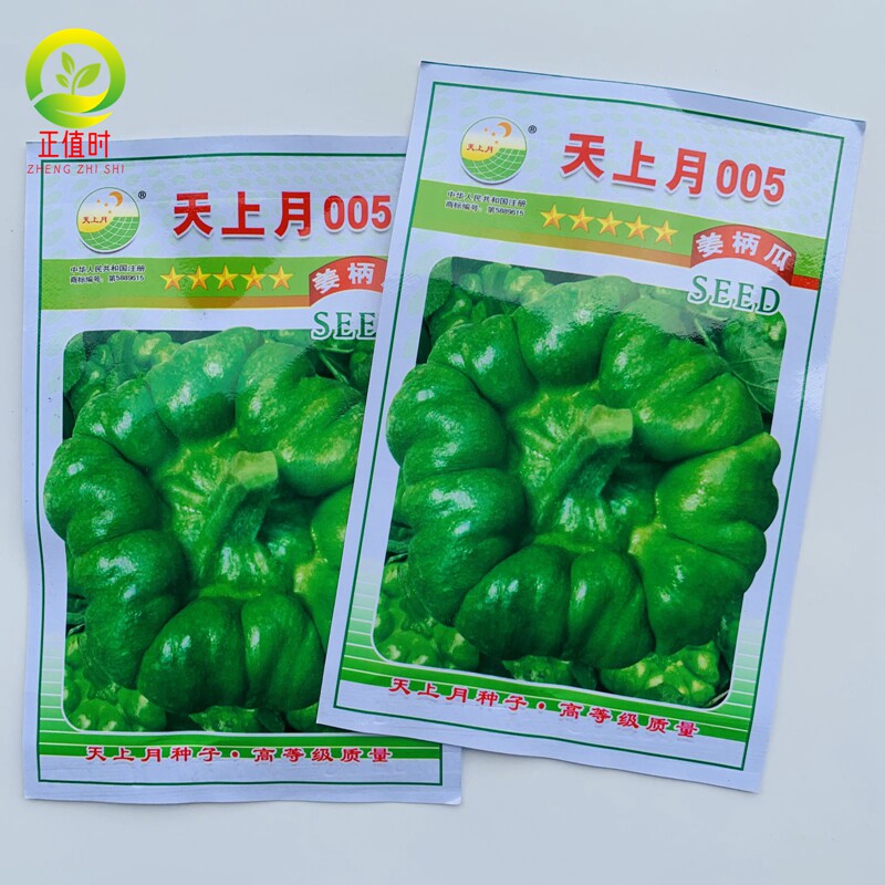 云南姜柄瓜种籽春夏秋季七叶瓜种子庭院爬藤小南瓜绿爬藤菜瓜蔬菜