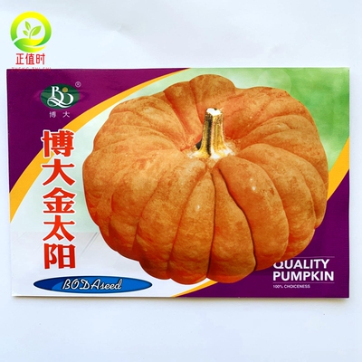 老品种磨盘南瓜种籽金太阳南瓜籽