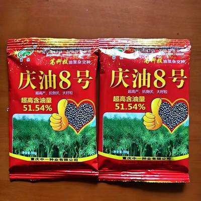 庆油8号菜籽榨用高产种3抗