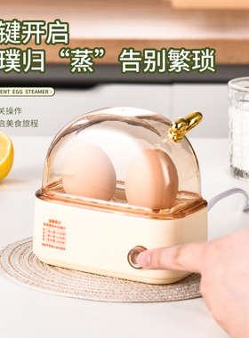 蒸蛋器小型多功能煮蛋器宿舍家用蛋1个人煮鸡蛋早餐