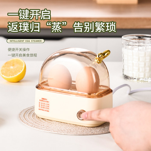 蒸蛋器小型多功能煮蛋器宿舍家用蛋1个人煮鸡蛋早餐