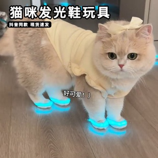 猫咪发光鞋玩具整蛊宠物猫咪狗狗室内夜光反光条鞋子夜间拍照配饰