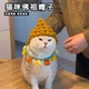 佛祖猫咪帽子冬季 毛绒针织头套弥勒佛猪八戒毛线帽子宠物小猫头饰
