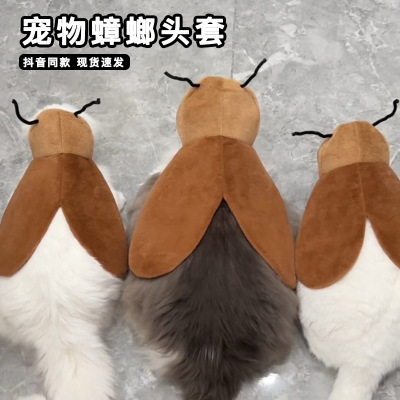 纯情猫咪蟑螂头套可爱小强蟑螂cos衣服搞怪毛孩子可调节披风网红