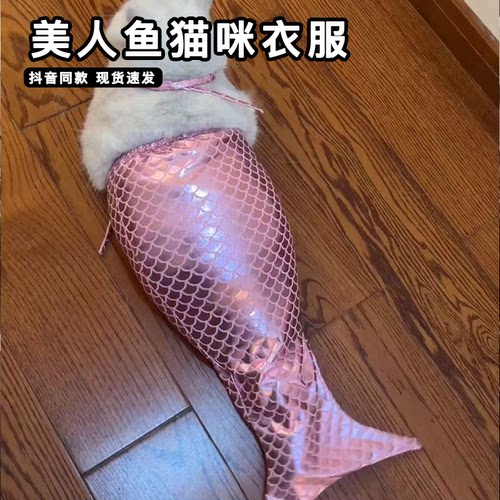 美人鱼猫咪衣服泳装鱼尾巴比基尼小型宠物猫猫鱼尾连体服搞笑服装