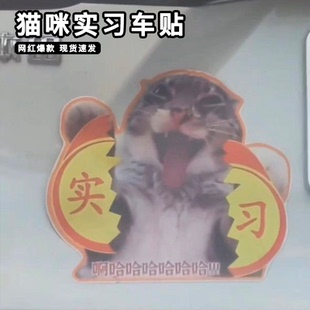 磁性汽车猫咪实习车贴贴纸创意文字新手上路磁吸耄耋猫搞笑哈基米