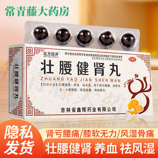 吉林壮腰健肾丸补肾正品官方旗舰店五子衍宗北方大蜜丸经开