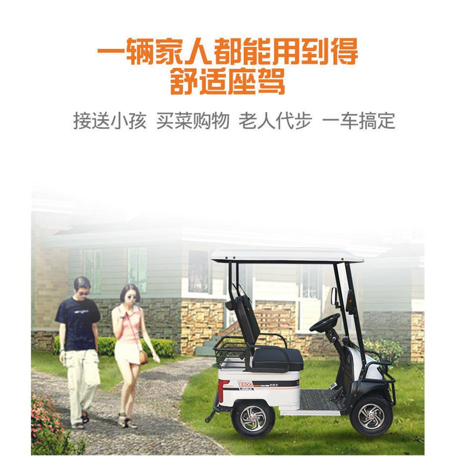 小巴士E600高级观光车老年步车成人送接孩子四轮电其他品牌车动人