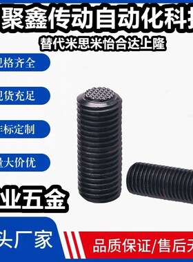 PT18-1025/1050/1o225/1250/1625/1650/2025/2050齿面直杆动向螺