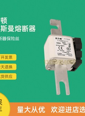 全新快速熔断器保险170M3286 170M3C289 170M3292 170M3293
