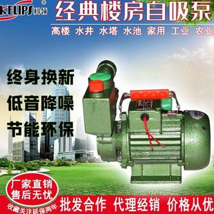 科领自来水泵增压220v高扬程自动农家用高楼防腐锈电泵大型抽水机