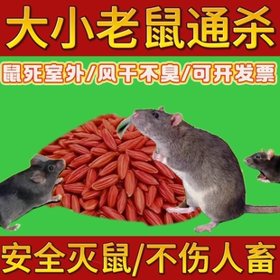 灭老鼠药非高效药特效家用药超强力室外死药耗子药一步倒窝端杀鼠