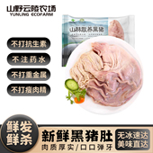 山野云陵农场黑猪猪肚新鲜散养整只免洗冷冻煲汤养胃内脏猪肉肚