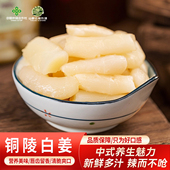 铜陵无添加新鲜糖醋姜嫩姜芽腌制白姜片脆生姜甜姜泡菜农家腌制
