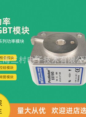 全新熔断器保险P085205/D120GC75V100EF R086242/D120GC75V125EF