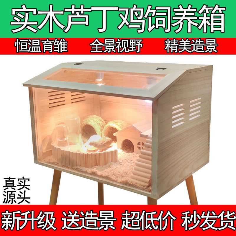 芦丁鸡笼子鸡饲养箱套育雏养殖木箱仓鼠实木豪华恒温造景大别墅热