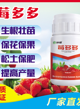 草莓膨大莓多多草莓专用膨果素增甜提质增产促根壮根促花促果老大