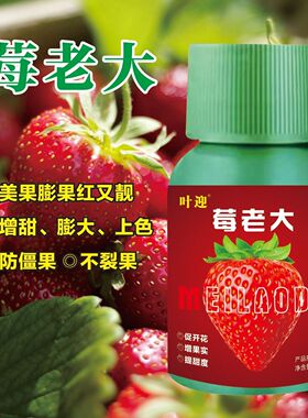 莓老大草莓专用膨果剂增甜提质提产促根壮根促花促果增甜增产肥