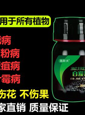 施斯夫白炭清草莓黄瓜辣椒通用白粉病炭疽病高效杀菌防病