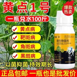 靶斑小黄点黄点1号微生物菌剂杀菌剂霜霉黄点靶斑角斑叶特效正品