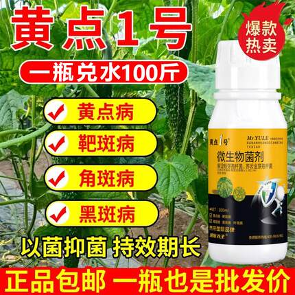 靶斑小黄点黄点1号微生物菌剂杀菌剂霜霉黄点靶斑角斑叶特效正品