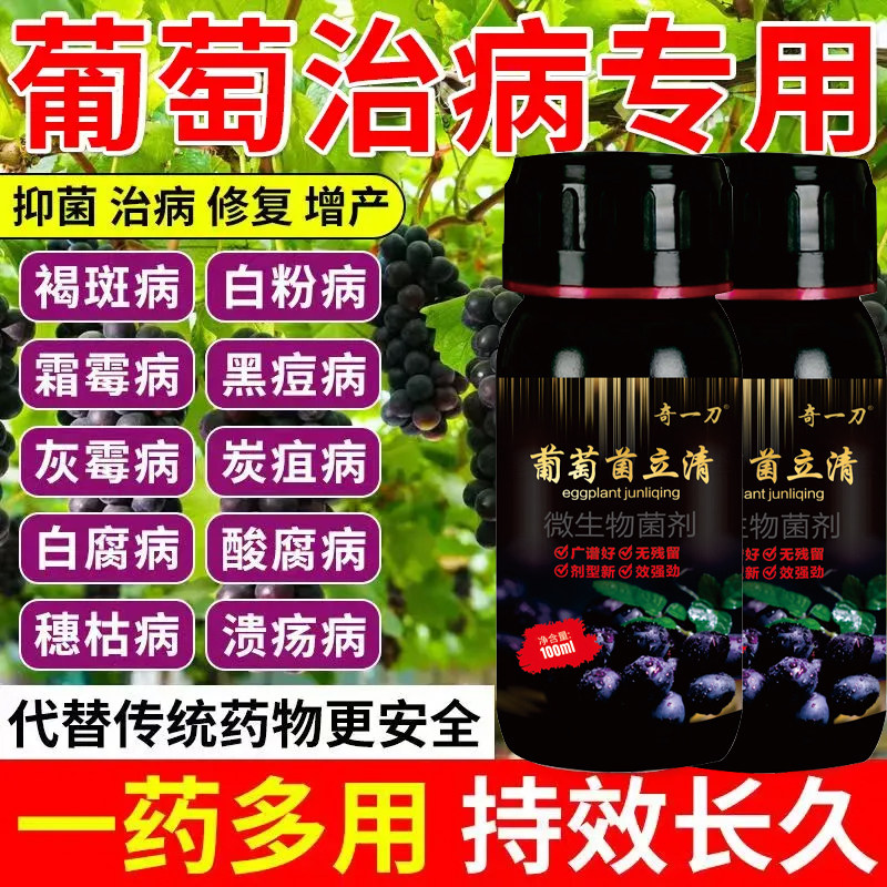 【治疗+预防】 葡萄树专用药病全治真菌细菌病毒霜霉病葡萄菌立清