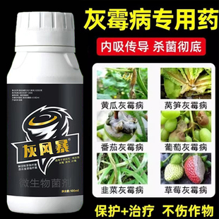 灰霉病特效叶霉病菌核病专用药灰风暴大棚番茄黄瓜草莓西红柿辣椒