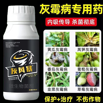 专打顽固抗性灰霉病菌核草莓番茄