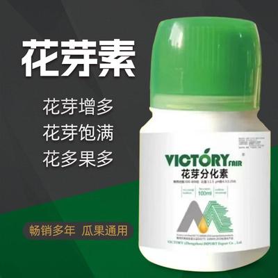 草莓专用花芽分化素促授粉分化