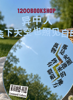 1200异中人亚克力装饰镜倒影板装饰摆件创意文艺物毕业季生日礼物