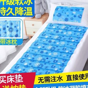 家用水席学生宿舍夏天降温冰床垫 优选冰垫凝胶床垫人双人床夏季