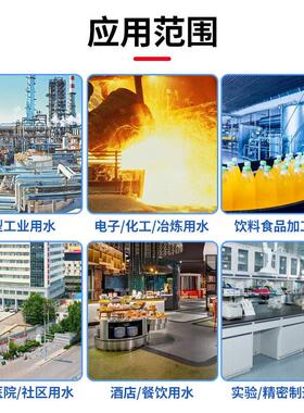 10吨二级反渗透 EDI超纯水设备全自动二级反渗透纯水净水器