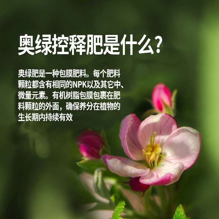 原装进口奥绿肥318s控释肥15-9-11+2MgO肥效期8至9个月缓释肥料