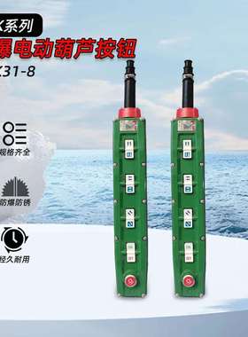 BAK31-8 防爆葫芦按钮控制开关 电动行吊车升降操作手柄 8钮防爆