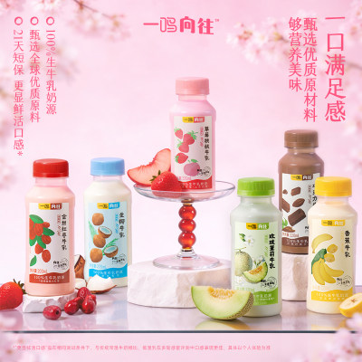 一鸣巧克力奶多种口味组合装