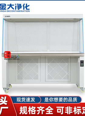 金大厂家双人超净工作台水平流洁净无尘净化操作台定制定制尺寸