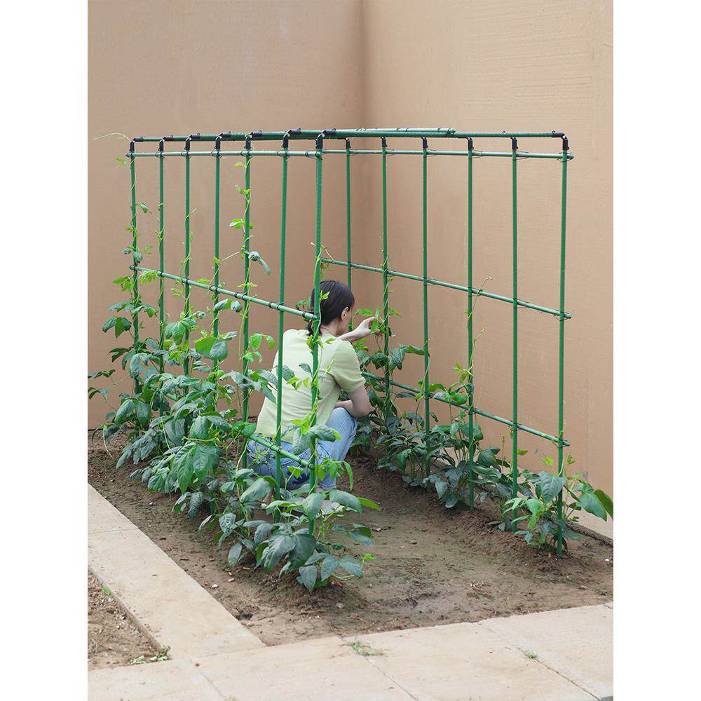 四季豆架杆黄瓜豆角蔬菜爬藤架种菜番茄西瓜支撑杆植物棚搭花架子