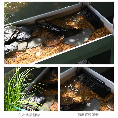 乌龟缸生态造景水陆缸别墅家用客厅养大乌龟专用特大号玻璃饲养箱