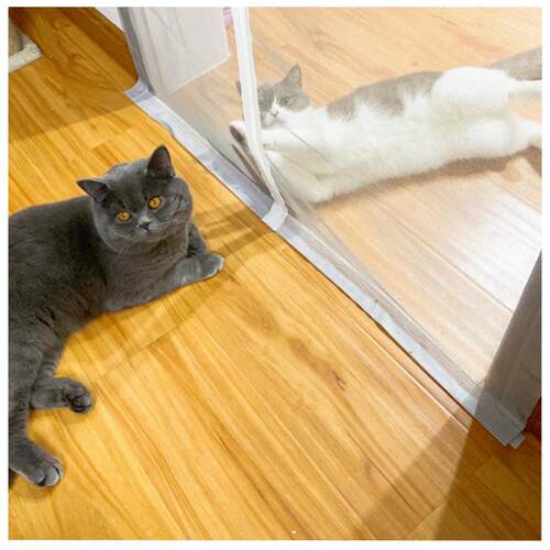 防猫门帘拉链款宠物猫挡沙门网软打孔门免门纱窗帘挡隔断栏纱门猫