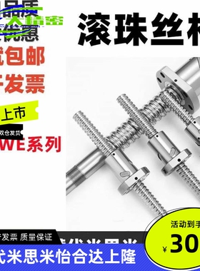 套装BSWE BTWE0802 1002 1204 1210 1510 1516 1520 1605滚珠丝杆