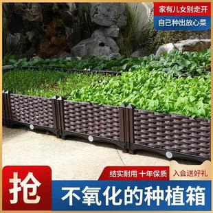 种菜盆阳台家庭蔬菜花盆专用超大家用塑料长方形神器花箱户种植箱
