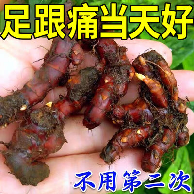 足跟疼痛【可痊俞】跟腱炎足跟骨刺脚背脚底韧带拉伤足跟专用贴WY