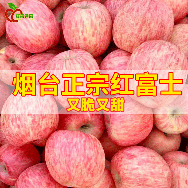 正宗山东栖霞红富士脆甜丑苹 果水果特产烟台富士苹 果5斤整箱包