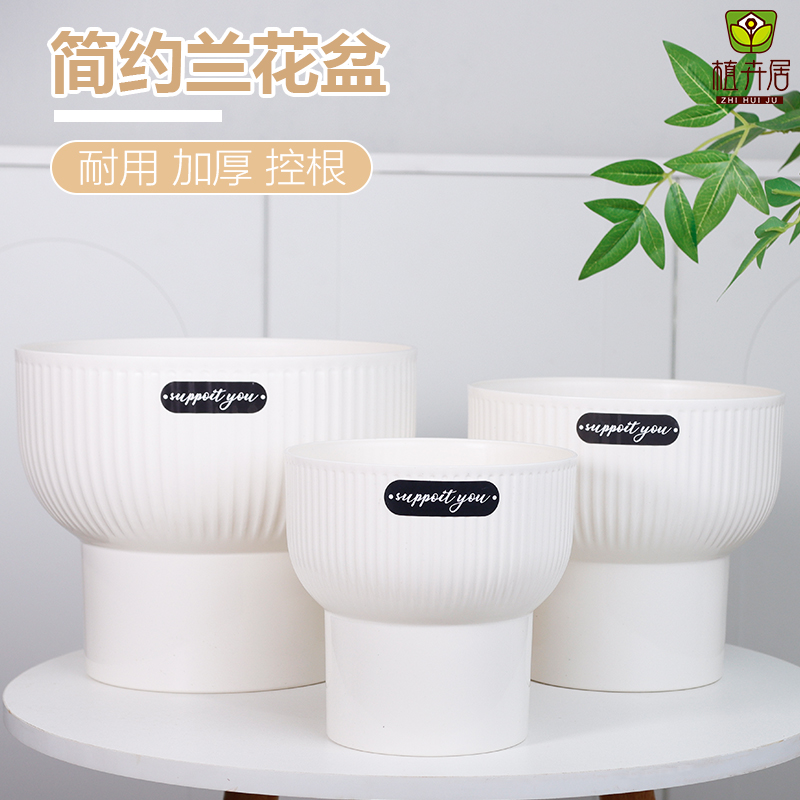 树脂欧式蝴蝶兰家用绿萝