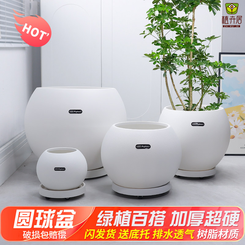 植卉居北欧网红时尚圆球形树脂花盆大号家用简约艺术个性绿植花盆,鲜花速递/花卉仿真/绿植园艺,花盆,淘宝优惠券,粉丝福利购,淘宝优惠卷