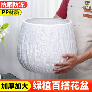 植卉居欧式 简约高颜值幸福树龙血树花盆客厅阳台落地绿植树脂花盆