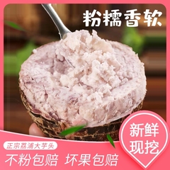 广西正宗荔浦大芋头新鲜桂林本地香芋泥烘焙商用批发槟榔芋旗舰店