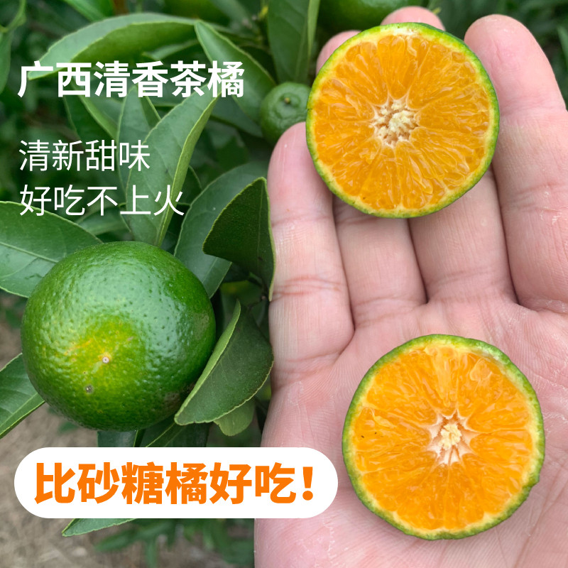 广西清香橘清香蜜橘茶桔纯甜桂林茶橘巴西柑沃青龙橘子新鲜水果,水产肉类/新鲜蔬果/熟食,桔子,淘宝优惠券,粉丝福利购,淘宝优惠卷