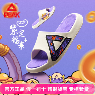 匹克国创态极拖鞋男鞋-七彩刺桐蛇蛇年新年秋季沙滩鞋运动凉拖鞋