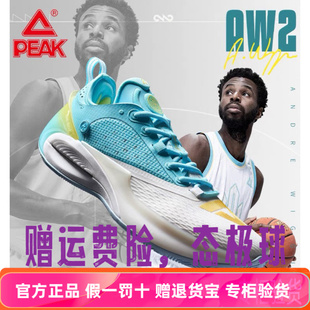 匹克态极维金斯2代篮球鞋男鞋2025秋碳板专业球鞋轻弹科技运动鞋